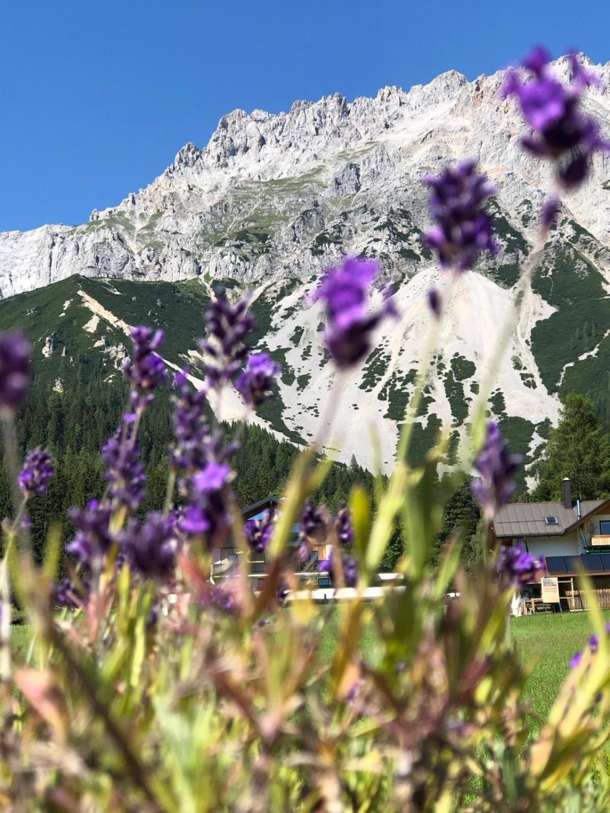 Club Villa Рамзау Экстерьер фото